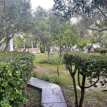 Casa Ginepro 펜션 올비아